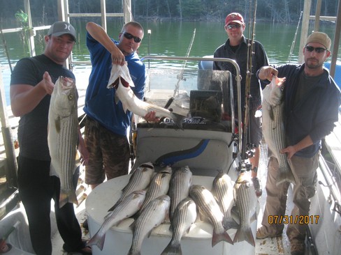 Nice Striped Bass